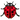 Buggy Experience